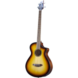 Breedlove Discovery S Concert Edge Basse