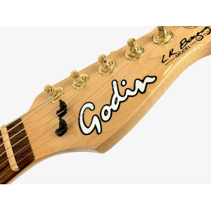 Godin Acousticaster L.R. Baggs 2013 Black