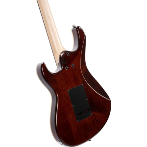 Cort Guitare G280 Select Ambre
