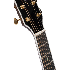 Cort Guitare Gold-oc8 Naturel Brillant