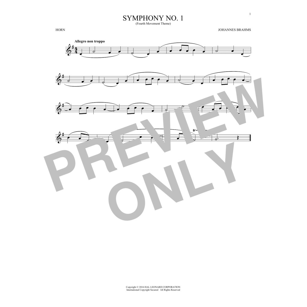 Symphony No. 1 In C Minor, Fourth Movement Excerpt
