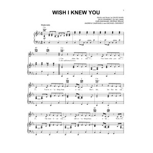 Wish I Knew You