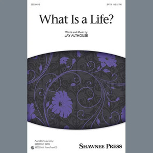 What Is A Life?