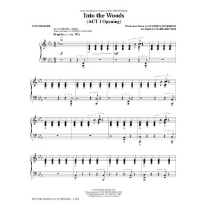 Into the Woods - Synthesizer