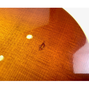 Gibson L-00 12ème Fret 2017 Rosewood Burst