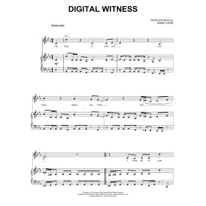 Digital Witness