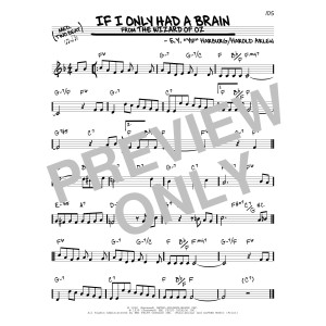 If I Only Had A Brain