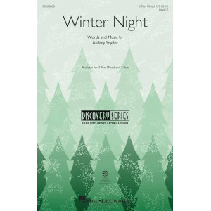 Winter Night