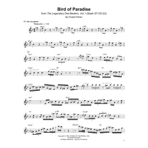 Bird Of Paradise