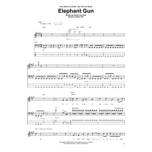 Elephant Gun