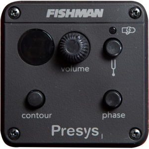 Breedlove Pursuit Ex S Concert Ce Bleu