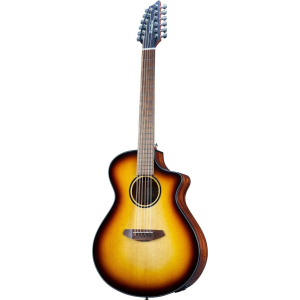 Breedlove Discovery S Concert Edge 12c
