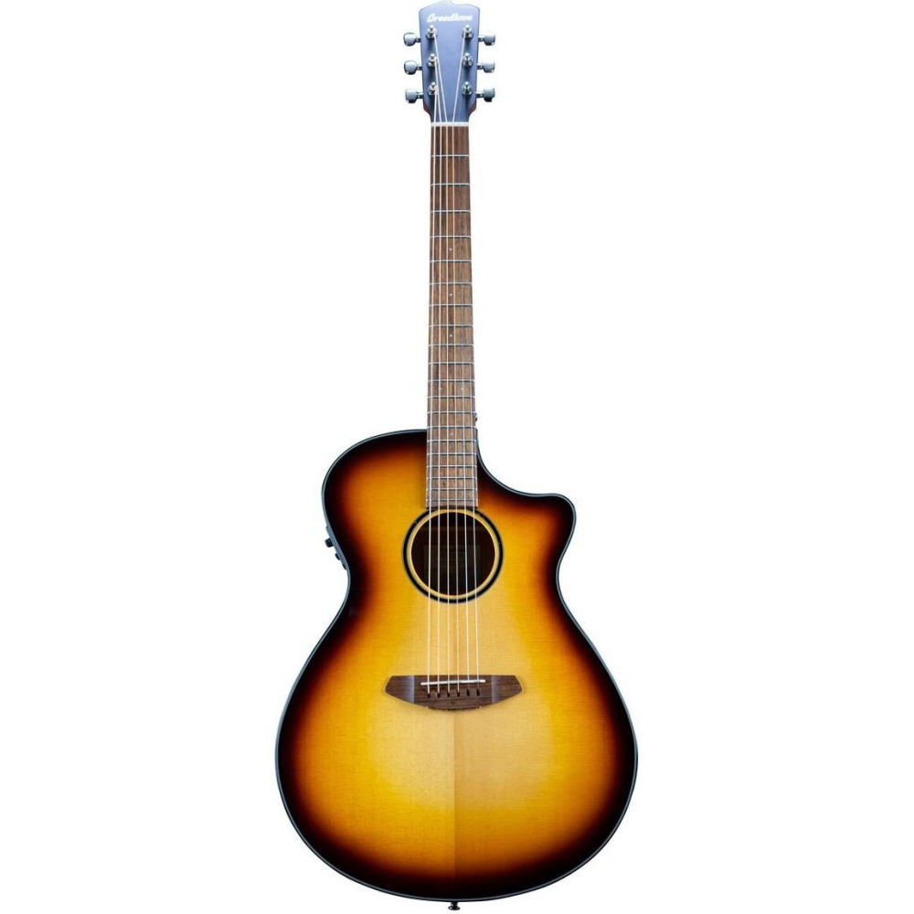 Breedlove Discovery S Concerto Ce Edge