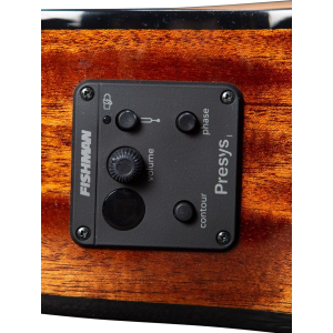 Breedlove Discovery S Concerto Ce Edge