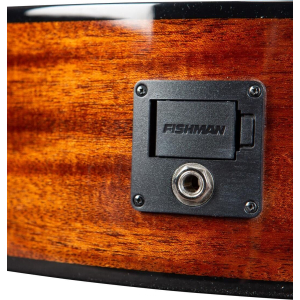 Breedlove Discovery S Concerto Ce Edge