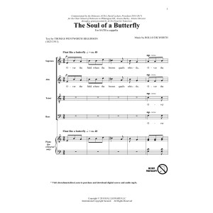 The Soul Of A Butterfly