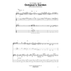 Octopus's Garden