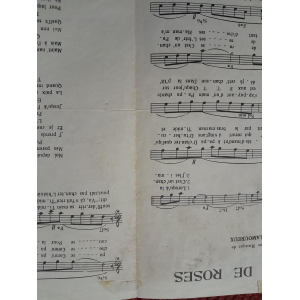 Historia de las Rosas