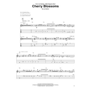 Cherry Blossoms