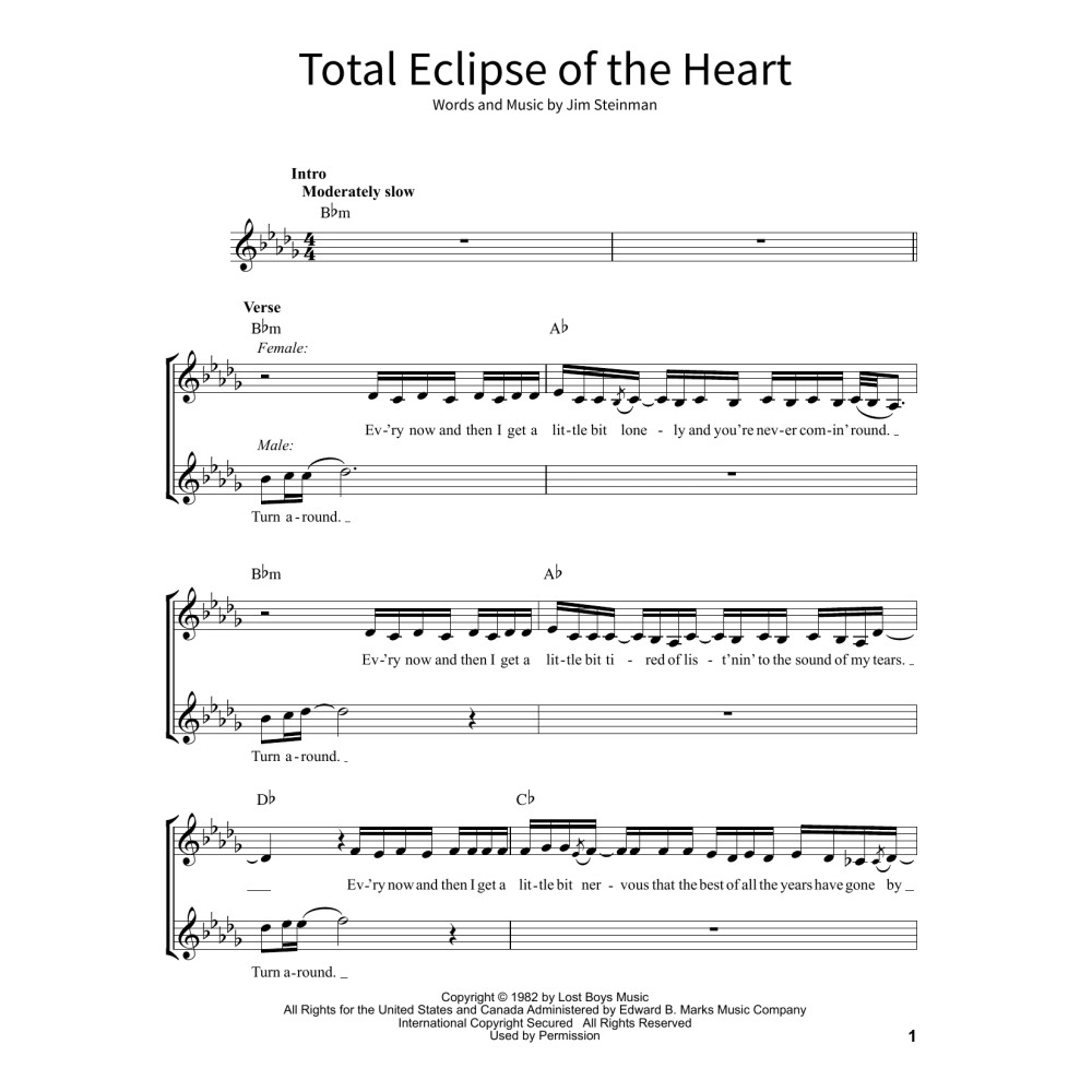 Total Eclipse Of The Heart