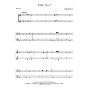 I Will Wait