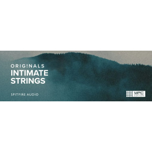 Akai Professional Intimate Strings