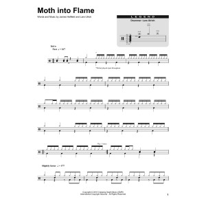 Moth Into Flame