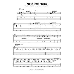 Moth Into Flame
