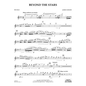 Beyond the Stars - Piccolo