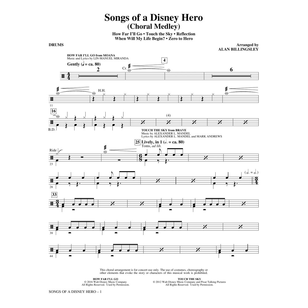 Songs of a Disney Hero - Drums