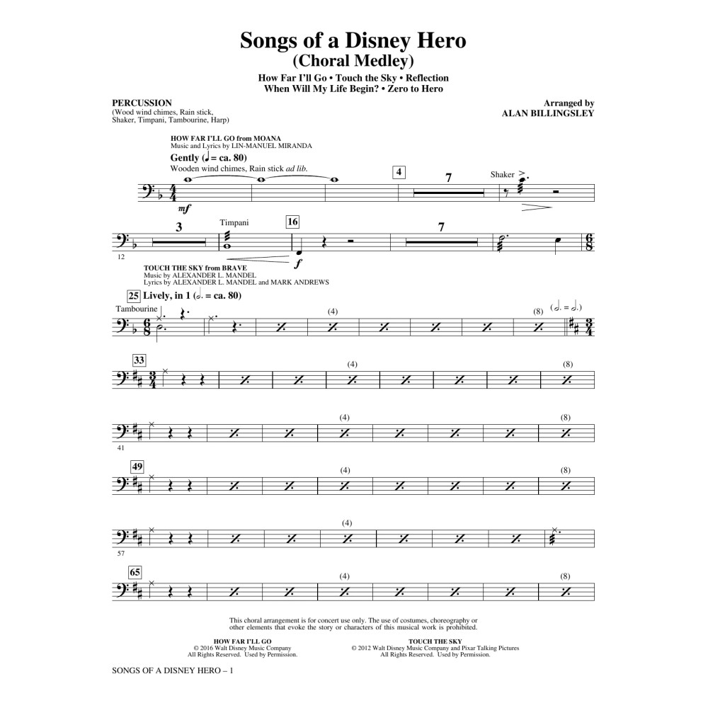Songs of a Disney Hero - Percussion
