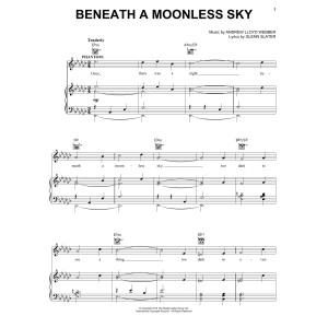 Beneath A Moonless Sky