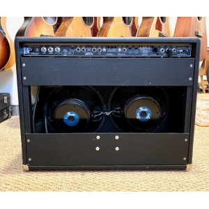 Fender Twin Amp 100 Watts Combo