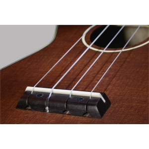 Stagg Us80-se