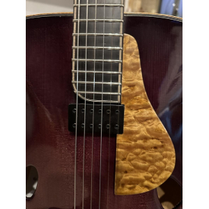 Guitare Jazz Pierre Marc Martelli