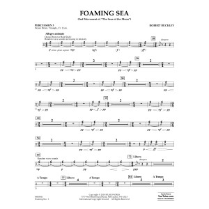 Foaming Sea - Percussion 3