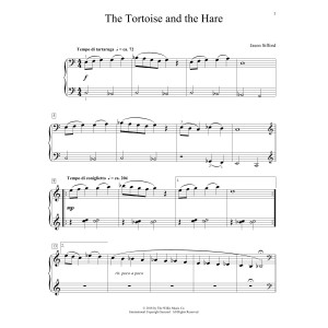 The Tortoise And The Hare