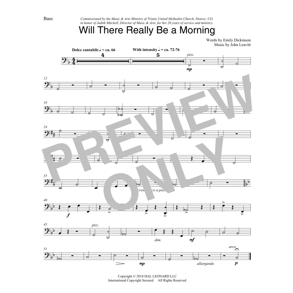 Will There Really Be A Morning - Double Bass