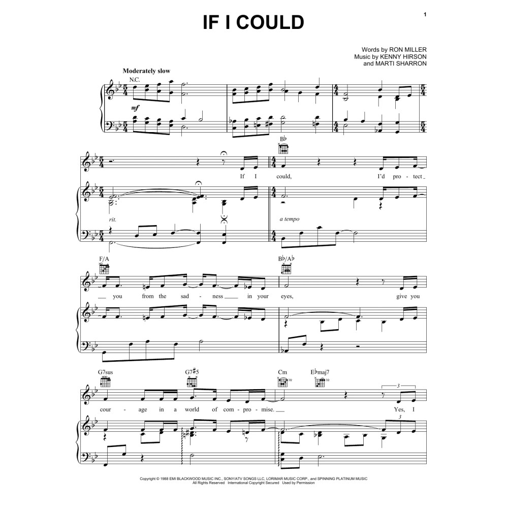 If I Could