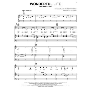 Wonderful Life (from Smallfoot)