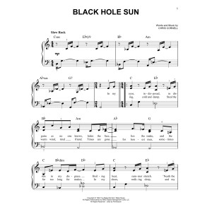 Black Hole Sun