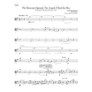 The Heavens Opened The Angels Filled the Sky - Viola