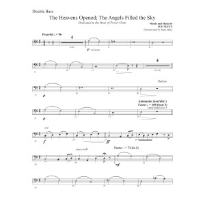 The Heavens Opened The Angels Filled the Sky - Double Bass