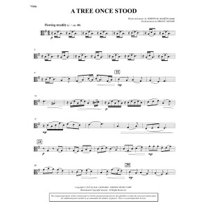 A Tree Once Stood - Viola