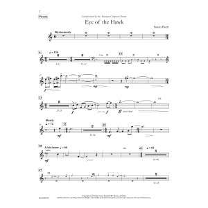 Eye of the Hawk - Piccolo