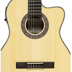 Crafter Hc250-ce-n
