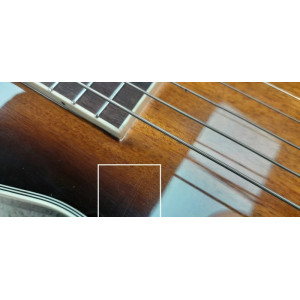 Gold Tone Ls-6