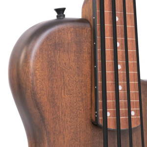 Gold Tone Me-bass/fl