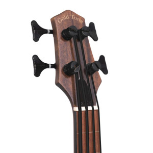 Gold Tone Me-bass/fl