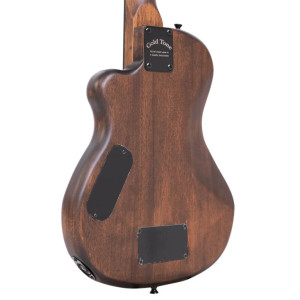 Gold Tone Me-bass/fl
